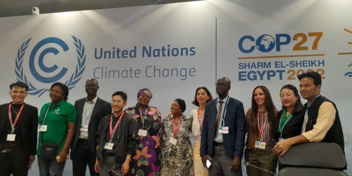COP 27: Preparation and Participation