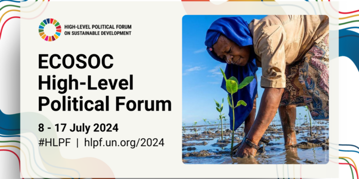 The UN High Level Political Forum 2024