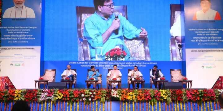 Pre COP 29 Consultations