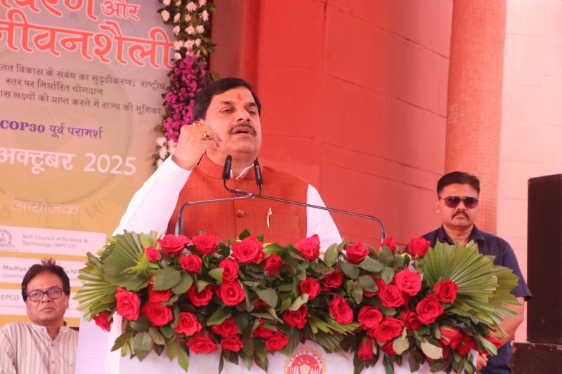 Pre COP 30 Consultation